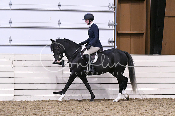 HSM_0272