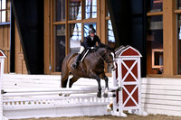 HSM_1717