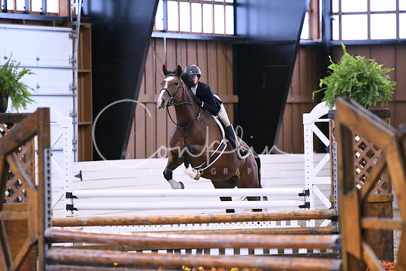HSM_1503