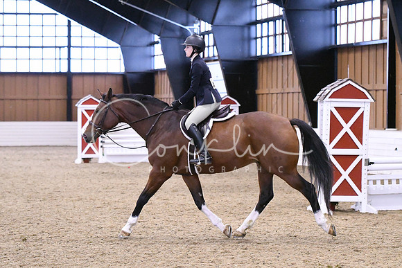 HSM_1508