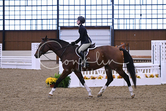 HSM_1509