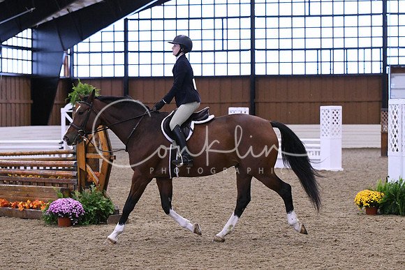HSM_1510