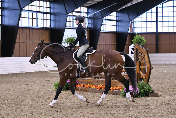 HSM_1511