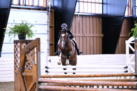 HSM_1490