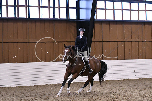HSM_1493