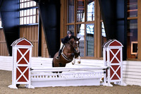 HSM_1498