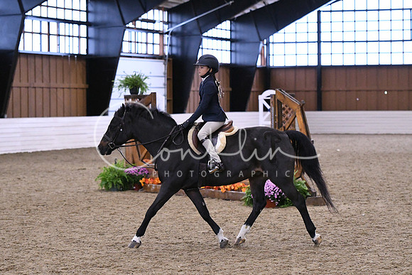 HSM_1408