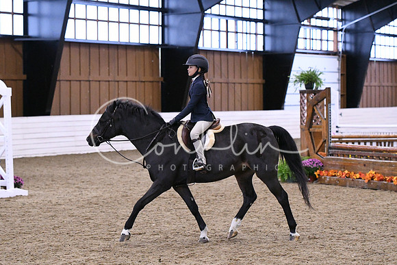 HSM_1409