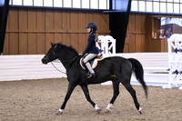 HSM_1410