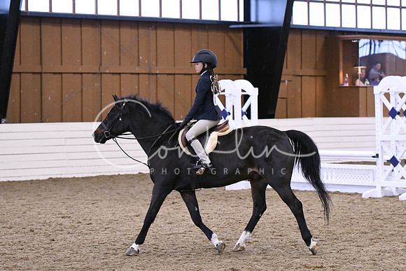 HSM_1410