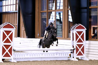 HSM_1399
