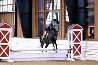 HSM_1400