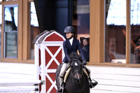 HSM_1401