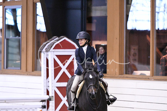 HSM_1401