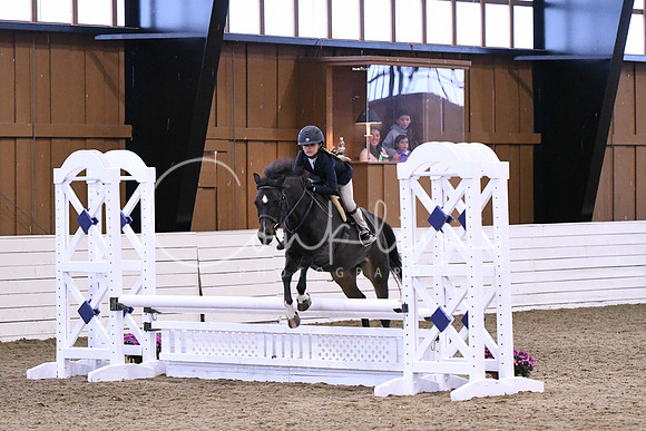 HSM_1403