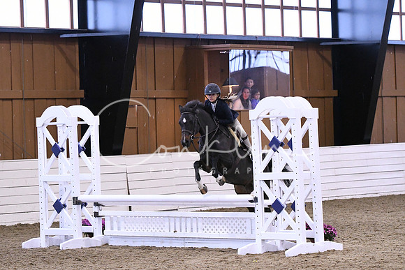 HSM_1450