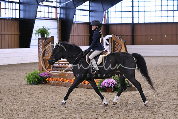HSM_1455