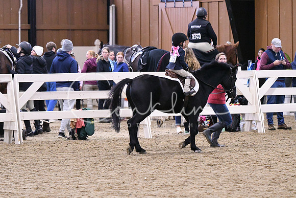 HSM_1136