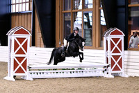 HSM_0034