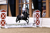 HSM_0035