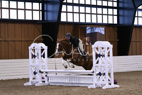 HSM_1195