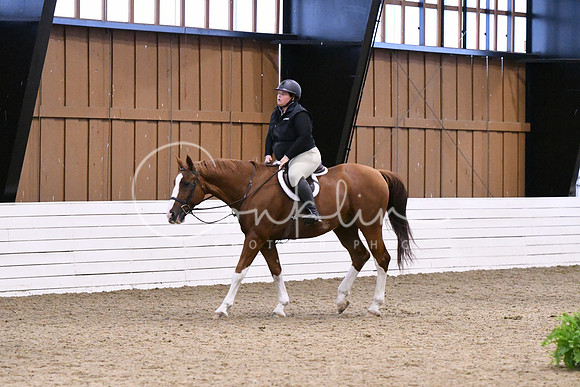 HSM_1198