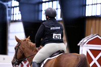 HSM_1173