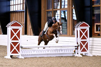 HSM_1176