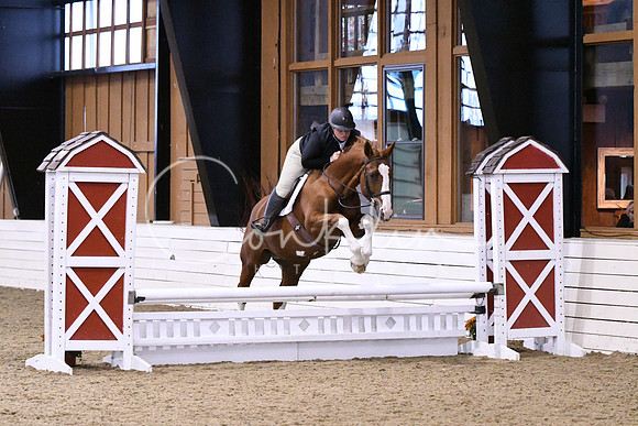 HSM_1176