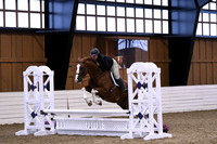 HSM_1181