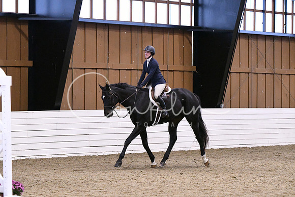 HSM_1217