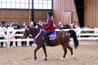 HSM_2153