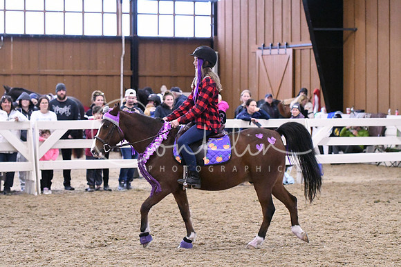 HSM_2153