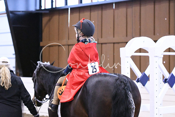 HSM_2198