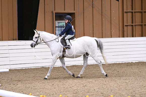 HSM_2268