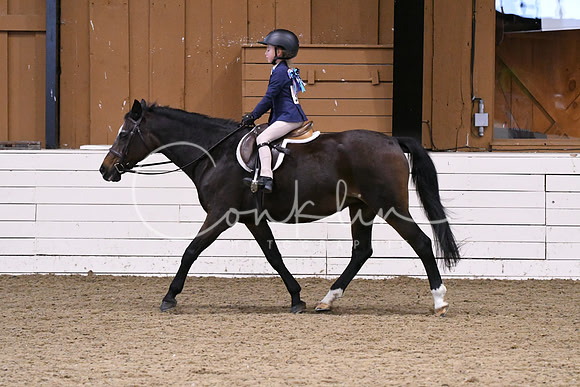 HSM_2272