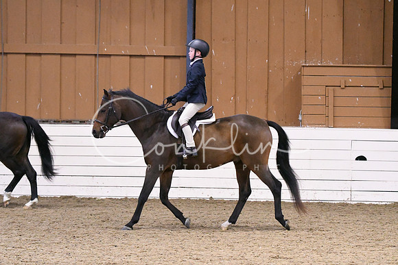 HSM_2285