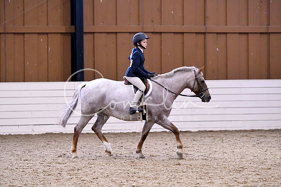 HSM_2295