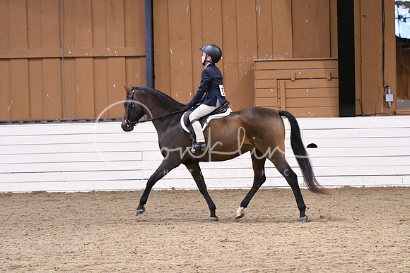 HSM_2329