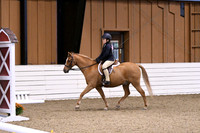 HSM_2331