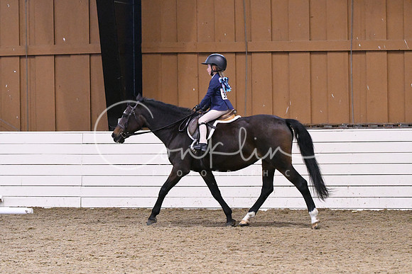 HSM_2337