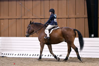 HSM_2340