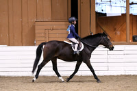HSM_2350