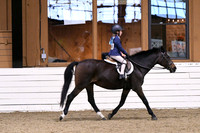 HSM_2351