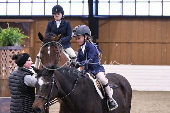 HSM_2419