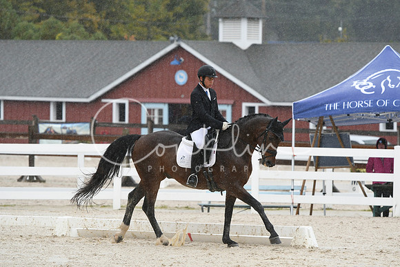 HSM_0485