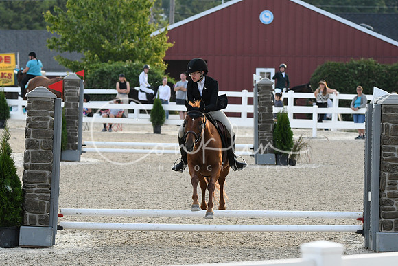 HSM_0994