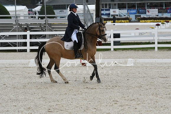HSM_0260