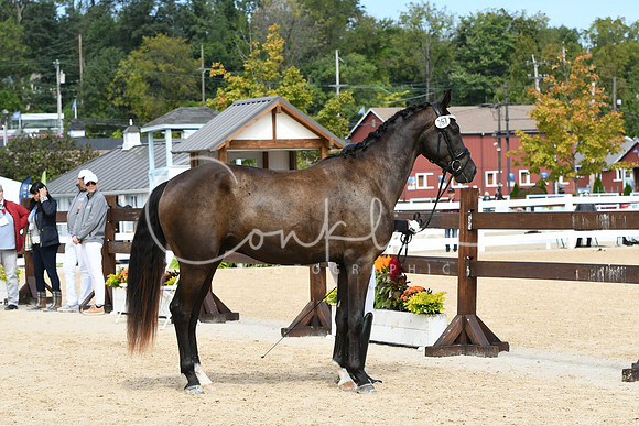 HSM_8509