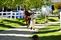 _MDS3682